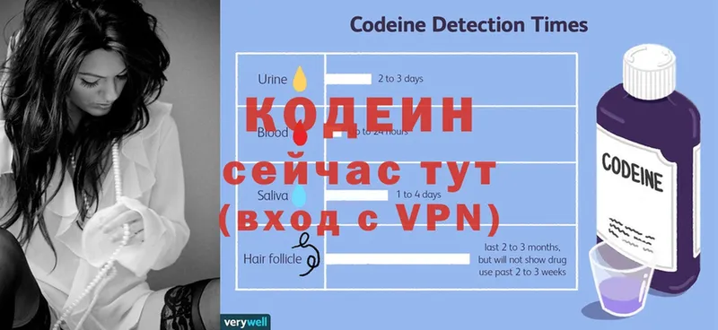 мега ССЫЛКА  Новозыбков  Codein напиток Lean (лин) 