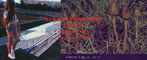 2c-b Верхний Тагил